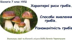 64. Характерні риси грибів