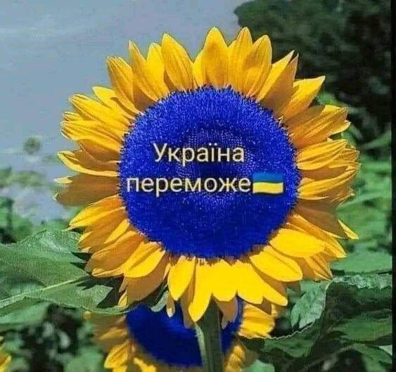 0901eu9s-5215-563x529.jpg