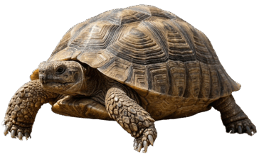 0901eue4-3bc1-364x217.png