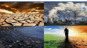 Environmental Problems