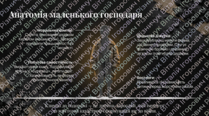 Григір Тютюнник «Климко» (скорочено). Нарис життя і творчості письменника. Розповідь у творі про досвід дорослішання головного героя. Світло людяності у воєнному дитинстві «Климка» + відео