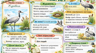 Матеріали для проєкту "Птахи - наші друзі" (перелітні птахи)