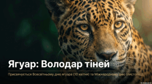 10 квітня - Всесвітній день ягуара (World Jaguar Day)