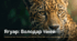 10 квітня - Всесвітній день ягуара (World Jaguar Day)