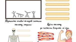 РОБОЧИЙ АРКУШ НУШ "Опорно - рухова система"