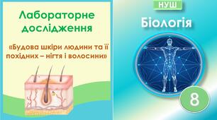 Лабораторне дослідження "Будова шкіри людини та її похідних - нігтя і волосини". Біологія 8 клас НУШ