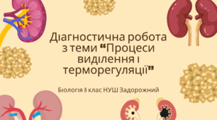 Діагностична робота з теми «Процеси виділення і терморегуляції» 8 клас Задорожний