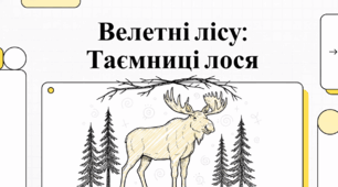Велетні лісу. Таємниці лося