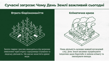 0901ezcv-fd07-379x213.png