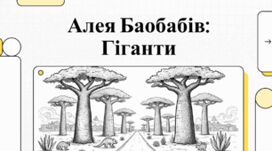Алея баобабів на Мадагаскарі