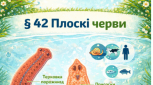 § 42 Плоскі черви