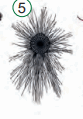 0901f12h-6ebe-83x119.png
