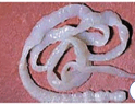 0901f138-a87e-124x95.png