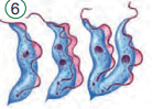 0901f13f-00ef-138x99.png