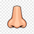 Nose Illustration Hand Drawn Clipart, Nose, Human Organs, Human Body Clipart PNG Transparent Clipart Image and PSD File for Free Download