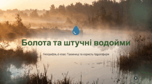Болота та штучні водойми