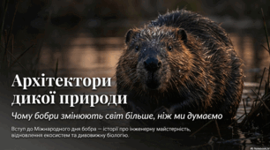 7 квітня Міжнародний день бобра