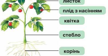 0901f4h0-5bc6-378x198.jpg