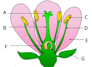 0901f4k0-94b0-300x219.png