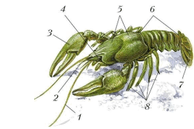 0901f63q-168e-302x201.png