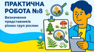 Практична робота №8 "Визначення представників різних груп рослин" для 5 класу з інтегрованого курсу "Пізнаємо природу".