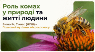 Роль комах у природі та житті людини | Біологія 7 клас НУШ | презентація