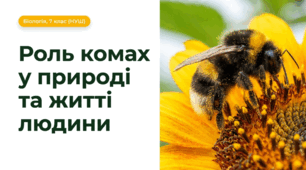 Значення комах у природі та житті людини | біологія 7 клас НУШ | презентація