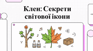 Клен: Велич Природи, Символіка та Практичне Значення
