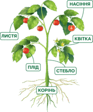 0901f8zv-2ce6-191x231.png