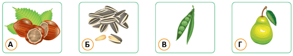 0901f90p-66e4-661x126.png