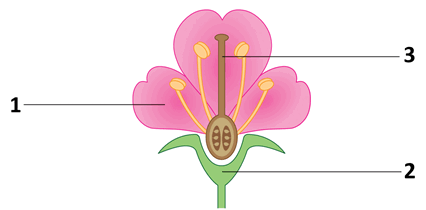 0901f92v-33f7-426x210.png