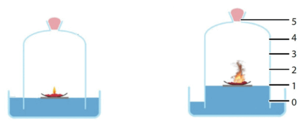 0901ffxt-7bbf-600x243.png