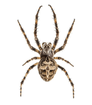 0901fip7-66f1-586x670.png