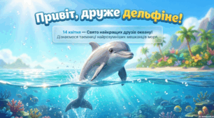 14 квітня - День дельфінів