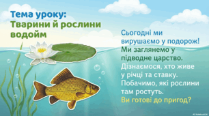 Презентація « Тварини й рослини водойм.» до підручника Н.О.Будної ЯДС 1 клас 2 частина
