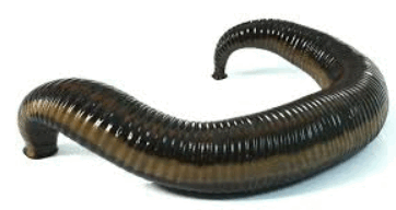 0901fk3r-c3a0-362x192.png