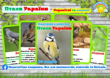 0901fkho-b327-374x264.png