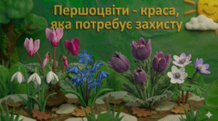 Анімований мультфільм "Краса, яка потребує захисту. Первоцвіти"