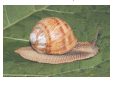 0901fkm8-a3d4-119x85.png