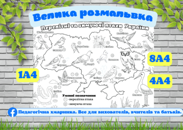 0901fkn3-4cda-369x261.png