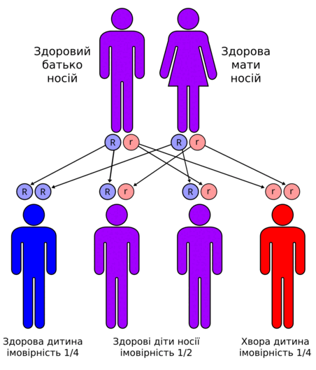 0901fkpo-245e-452x529.png