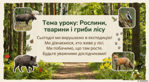 Презентація « Рослини, тварини і гриби лісу.» до підручника Н.О.Будної ЯДС 1 клас 2 частина