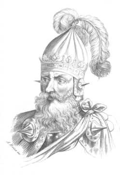 0901flsz-699d-265x361.png