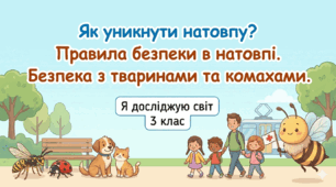 Правила безпеки в натовпі, з безпритульними тваринами та комахами.
