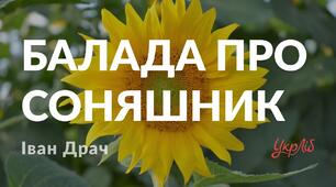 Іван Драч - невтомний шукач нового змісту і нової форми в поезії. «Балада про соняшник»– поетичний роздум про суть мистецтва, процес творчості.