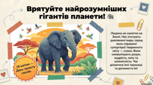 16 квітня День "Врятуйте слона". Величні вартові природи: Шлях до порятунку слонів