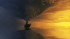 0901frmc-48f6-233x131.png