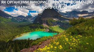 Презентація до уроку: "ЯК ОРГАНІЗМИ ВИКОРИСТОВУЮТЬ ІНФОРМАЦІЮ З НАВКОЛИШНЬОГО СЕРЕДОВИЩА"