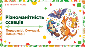 7 клас НУШ. Різноманітність ссавців. Першозвірі. Сумчасті. Комахоїдні. Рукокрилі. Гризуни