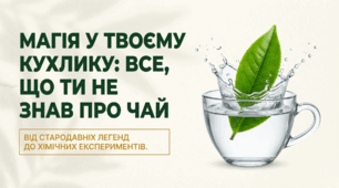 "Магія у твоєму кухлику: все що ти не знав про чай"